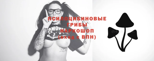 тгк Лагань