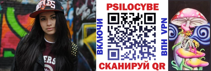 Псилоцибиновые грибы Psilocybine cubensis  OMG как зайти  Лиски 